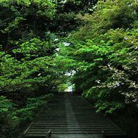 summer_5